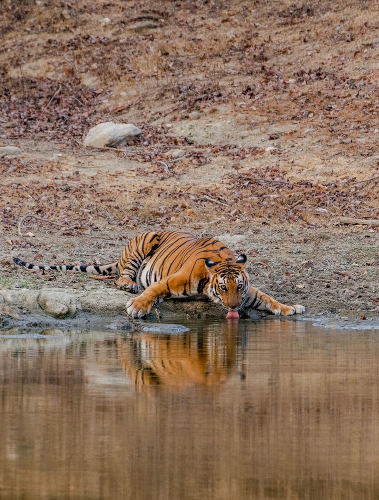 Photograph by Jayanth G