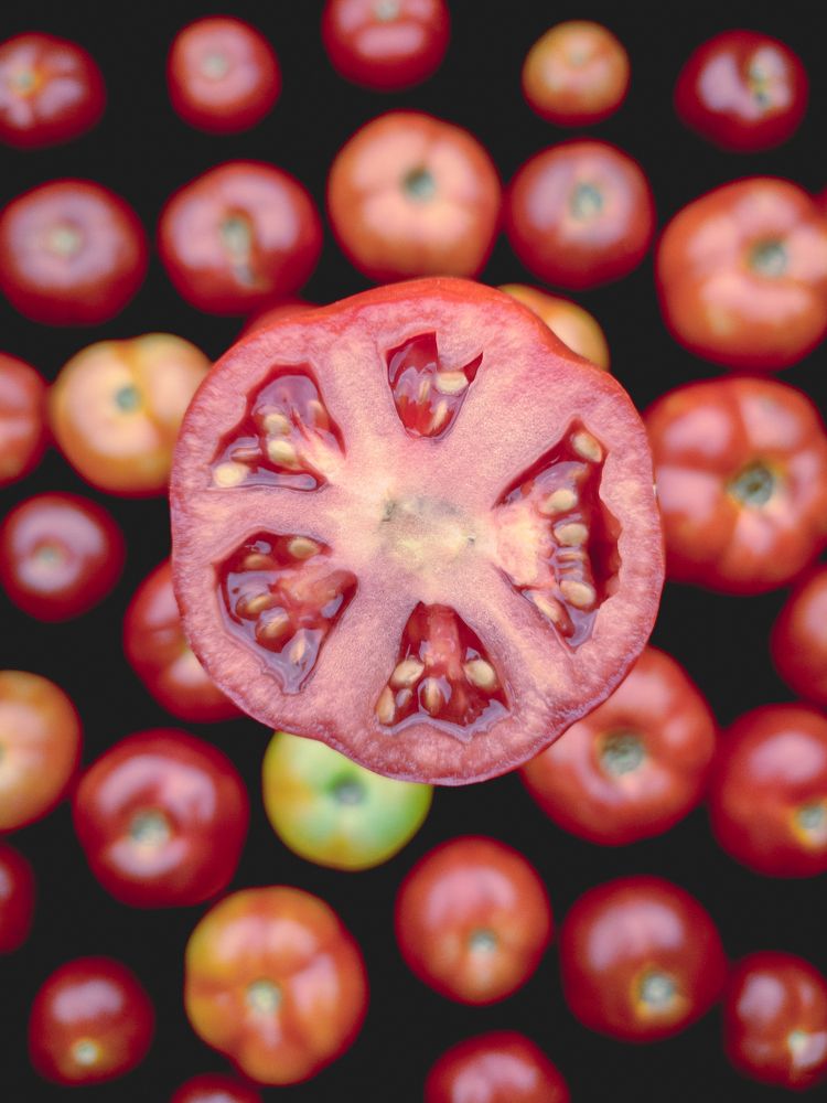 Photograph by Dhrubajyoti Bhattacharyya