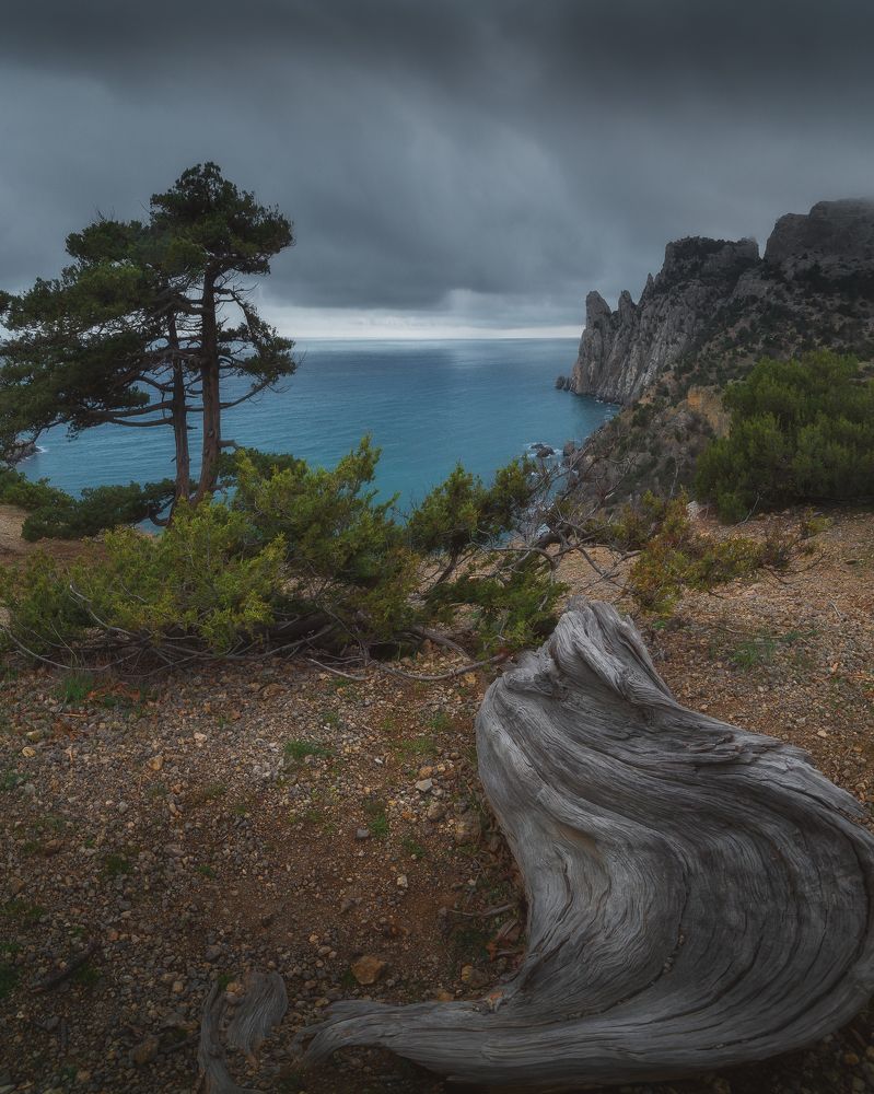 Photograph by Oleg Feofanov