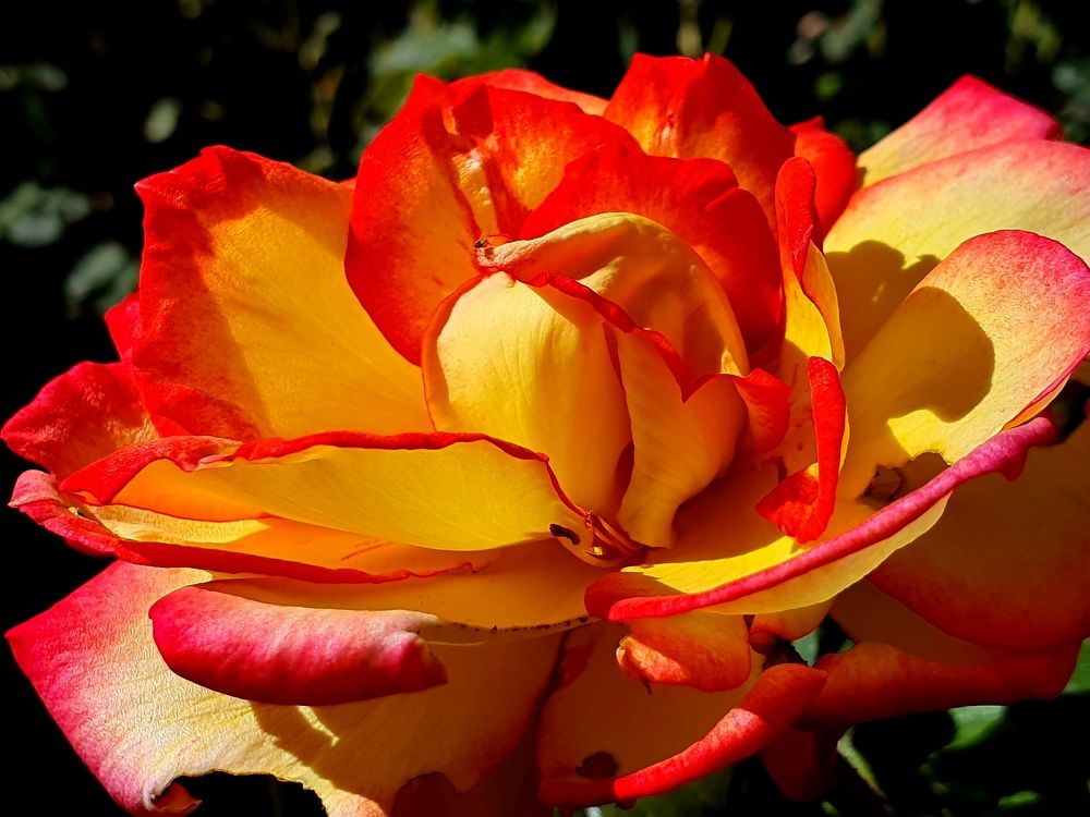 Photograph by Effie Zacharia