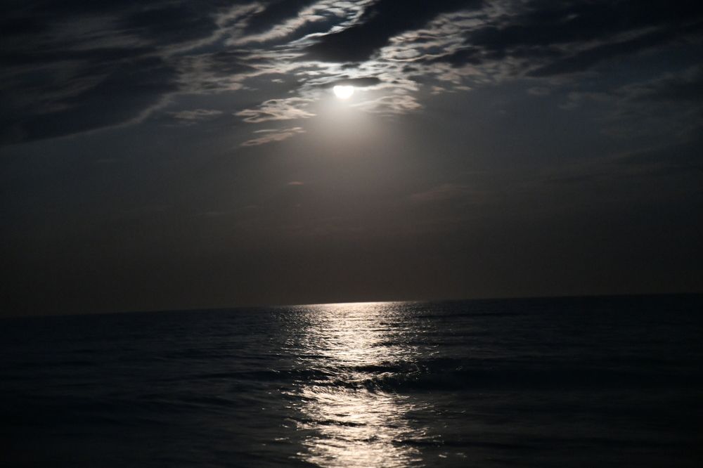 Photograph by Photobonum ZT