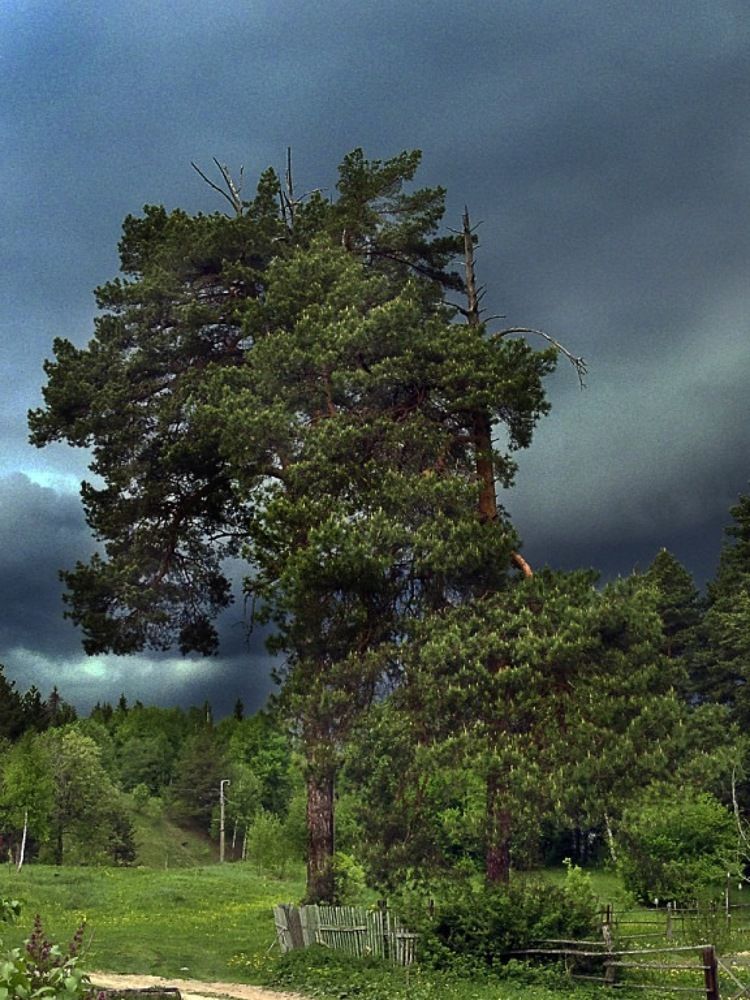 Photograph by Юлия Петухова