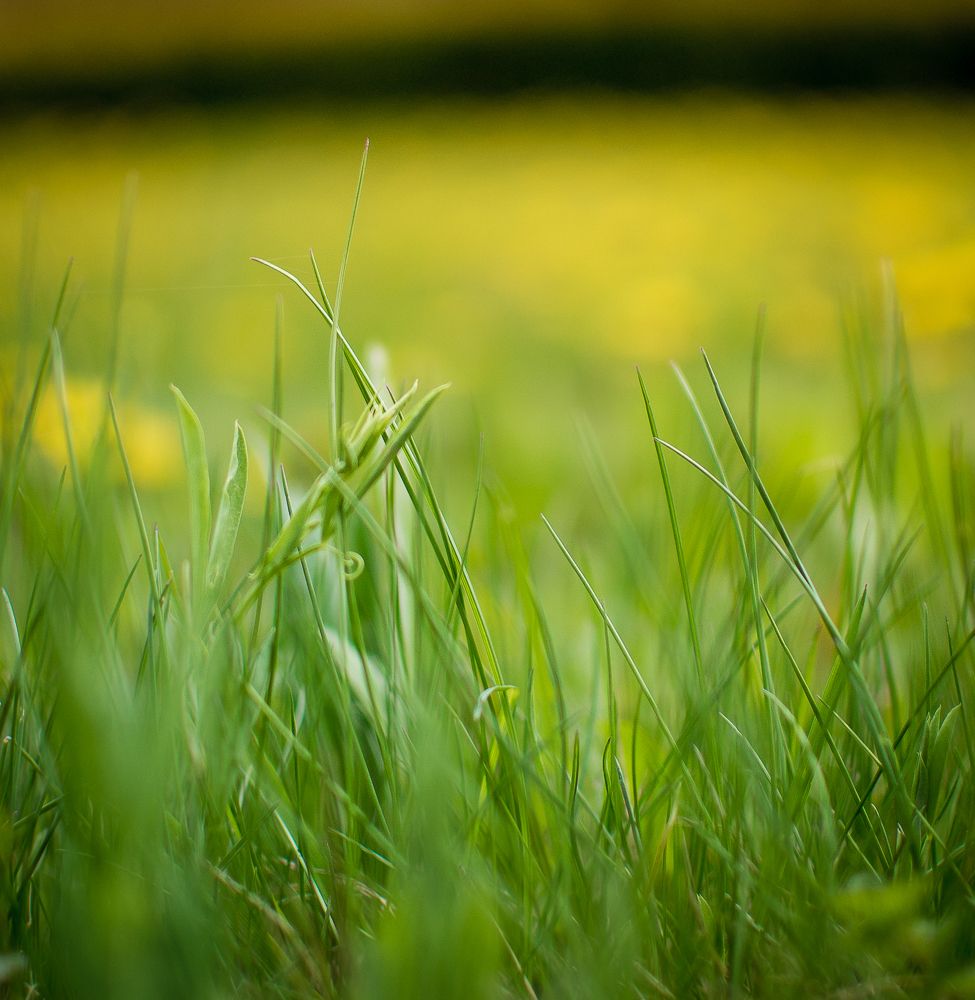 Photograph by Светлана Ветрова