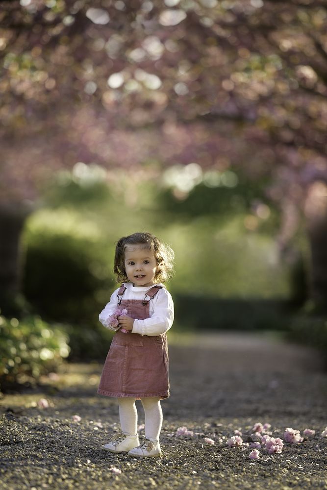 Photograph by Cécile Rulmont