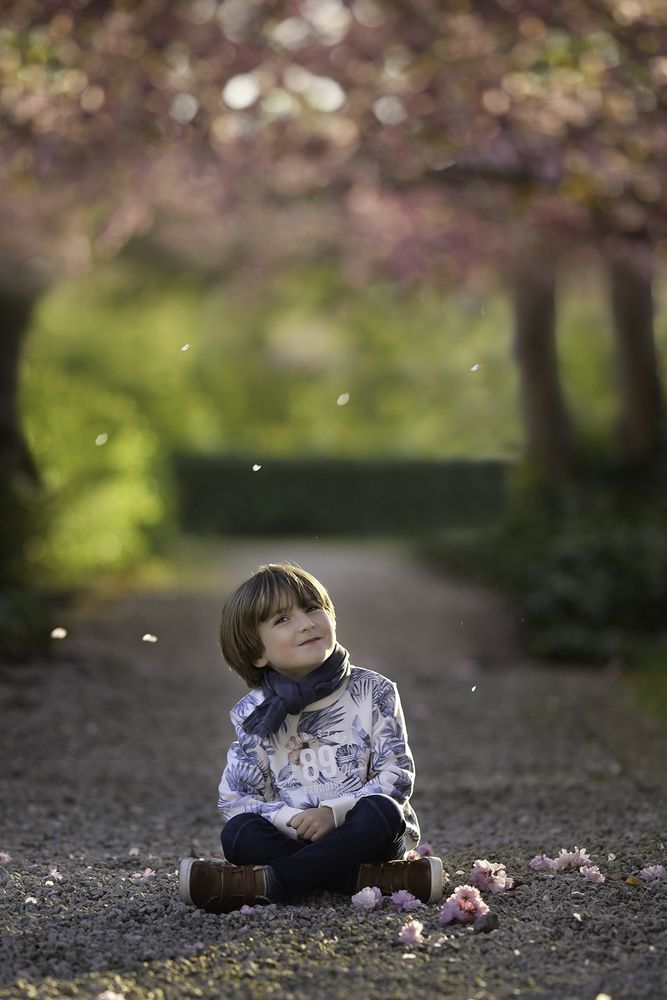 Photograph by Cécile Rulmont