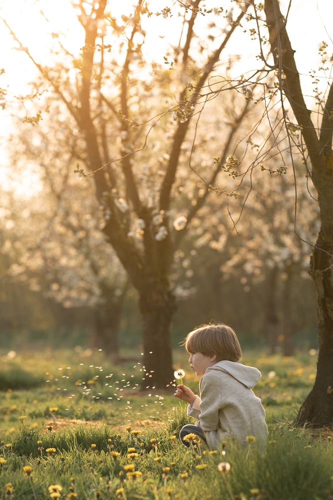 Photograph by Cécile Rulmont