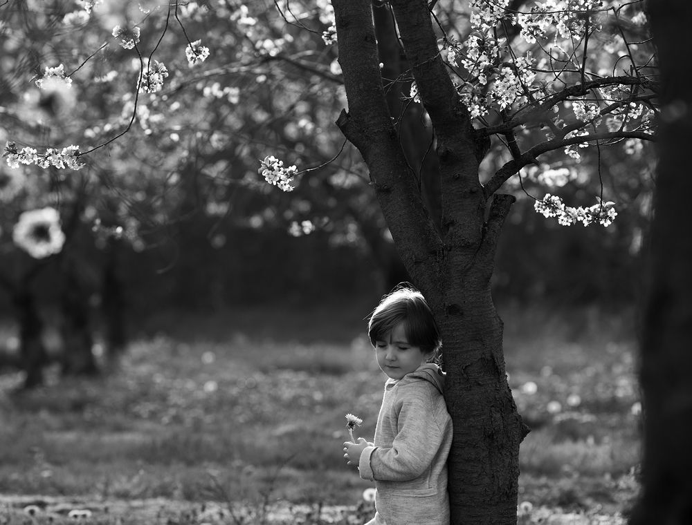 Photograph by Cécile Rulmont