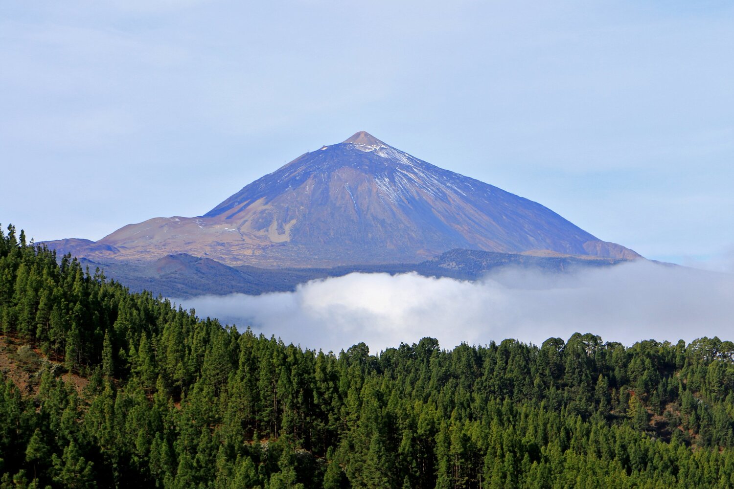 Photo #6052125