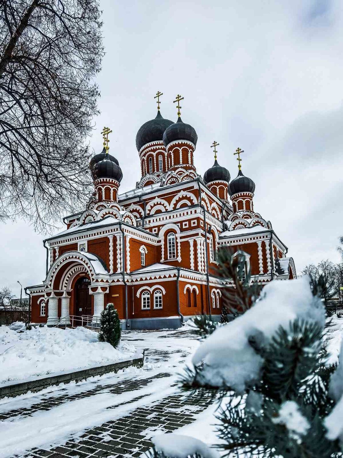 Фотография #6052257