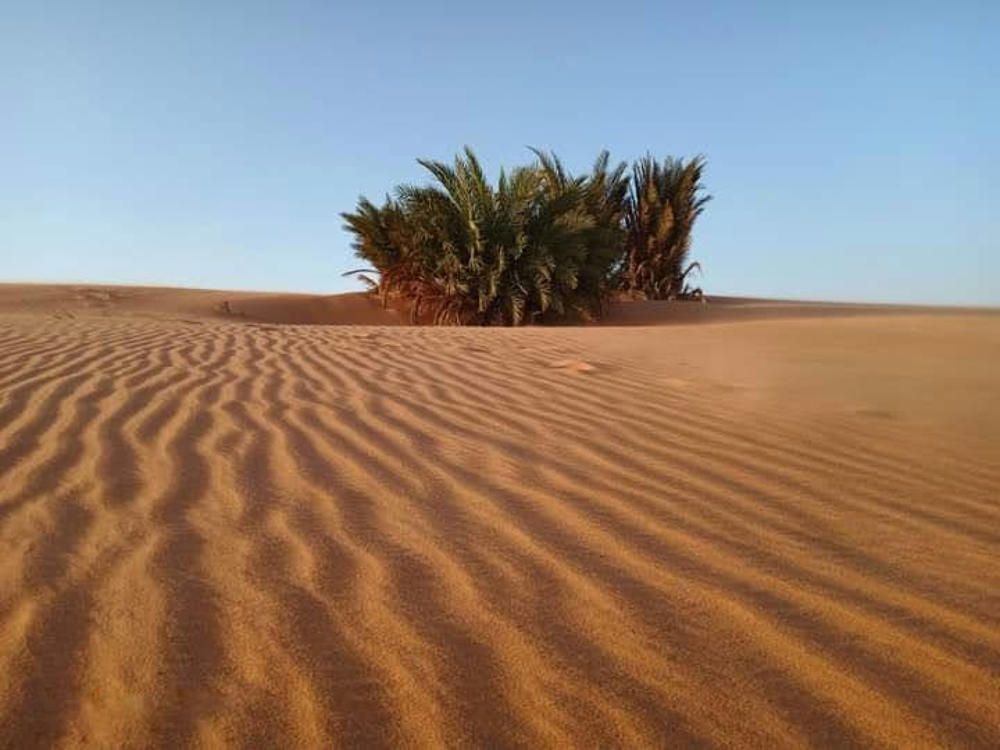 Photograph by mariamouinni