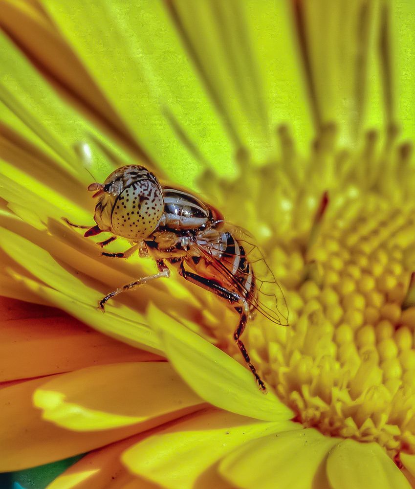 D blessedand beautiful  nature.