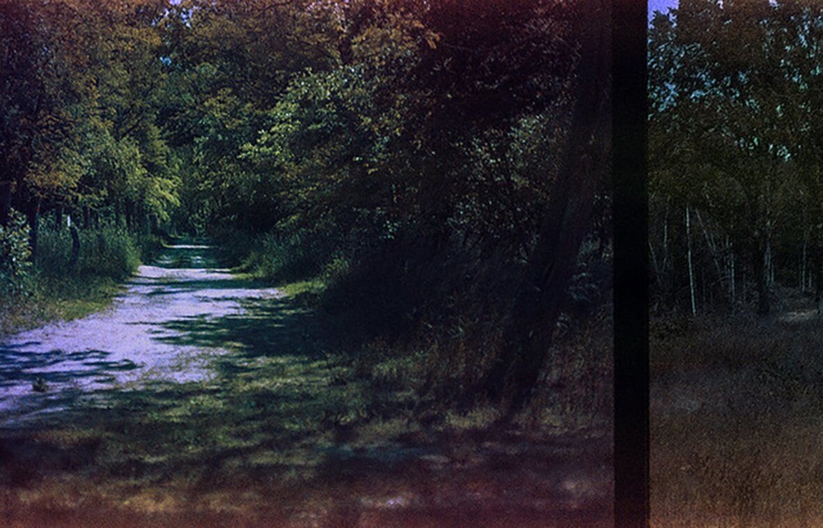 Photo #6052399
