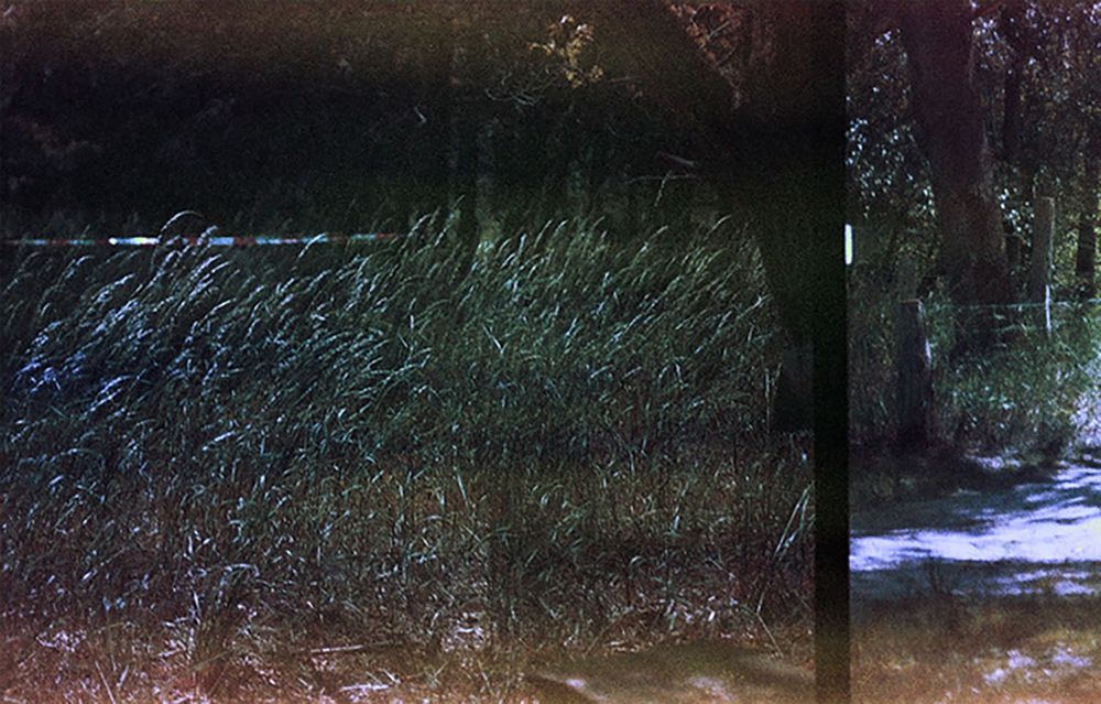 Photograph by Christoph Brandl