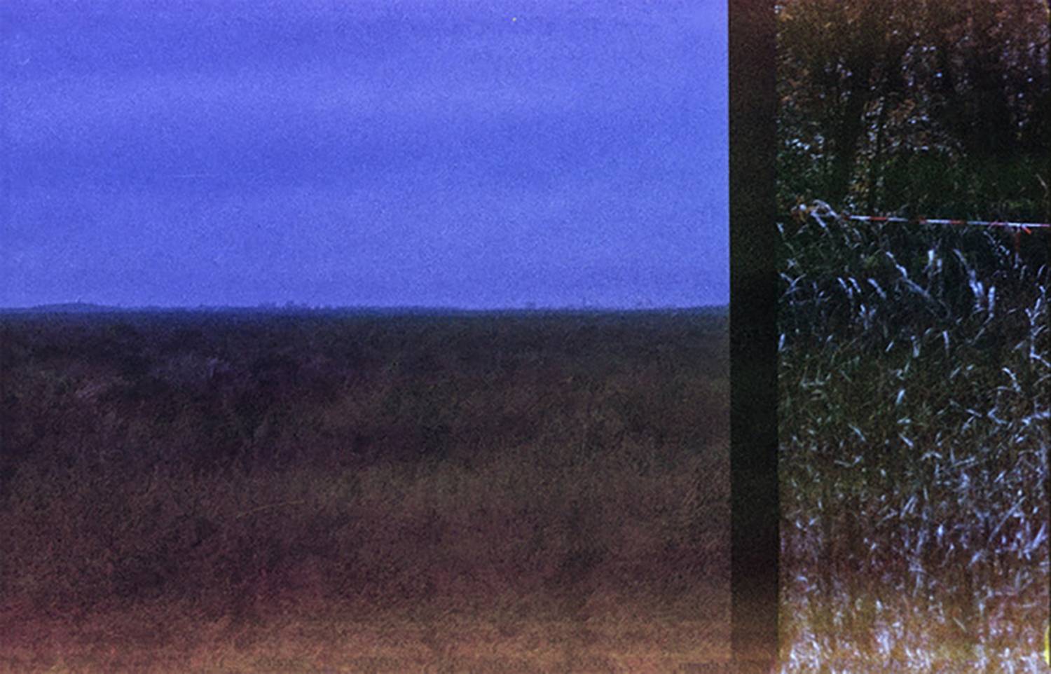 Photo #6052401