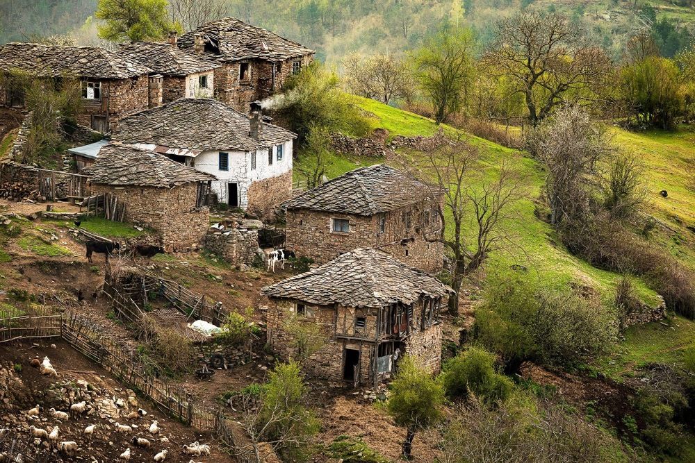 Photograph by Димитър Митрев