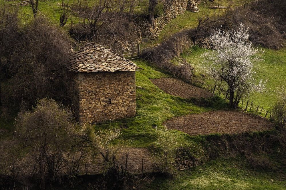 Photograph by Димитър Митрев