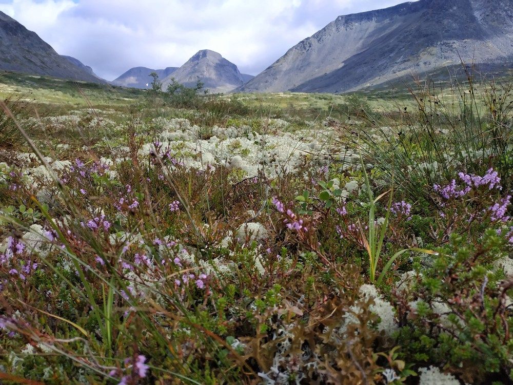 Горы Хибины