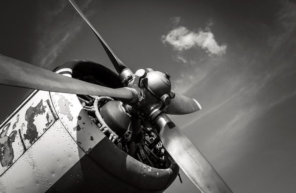 Он так хочет снова летать