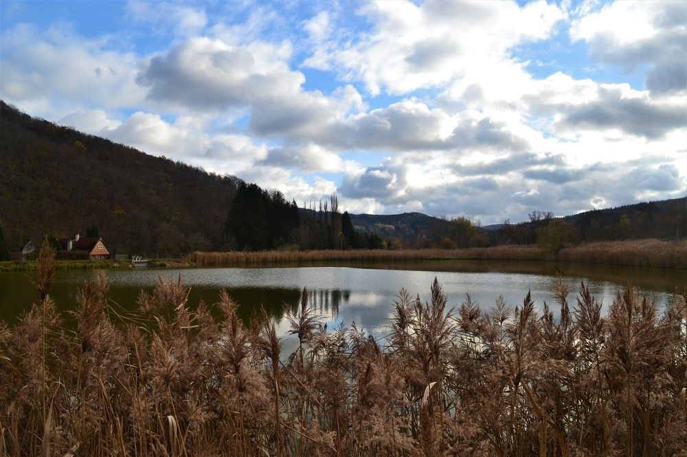 Photograph by Zdeňka Hudcová