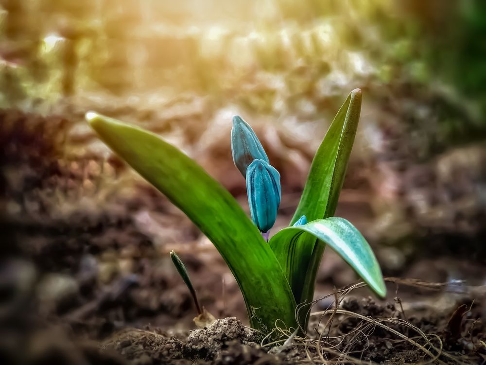 Photograph by Алексей Копылов