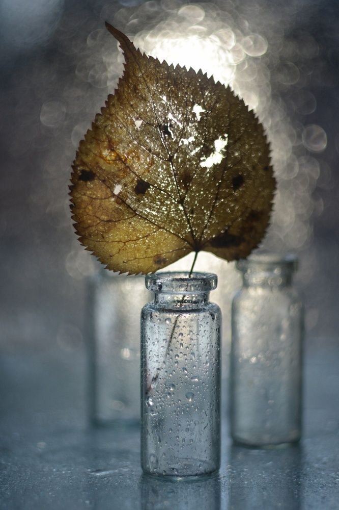 Photograph by Юлия Марфонова