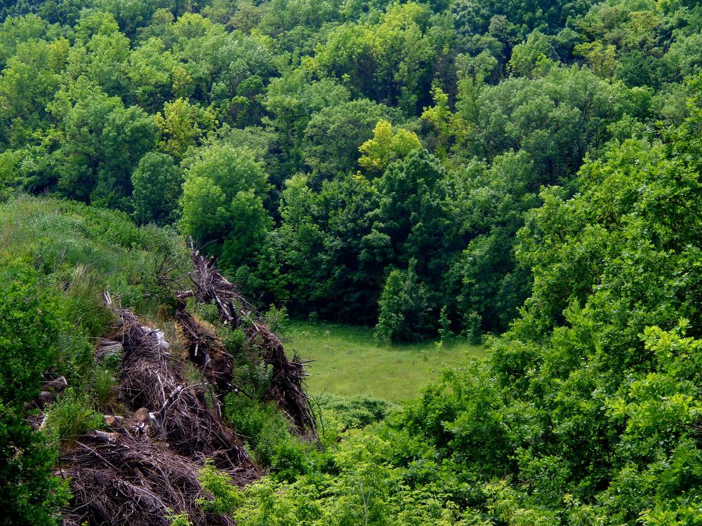 Photograph by Анастасия Моисеева