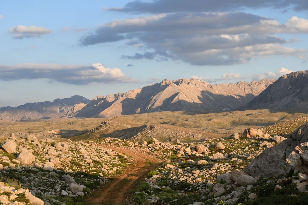 Photograph by Валентина Шахин