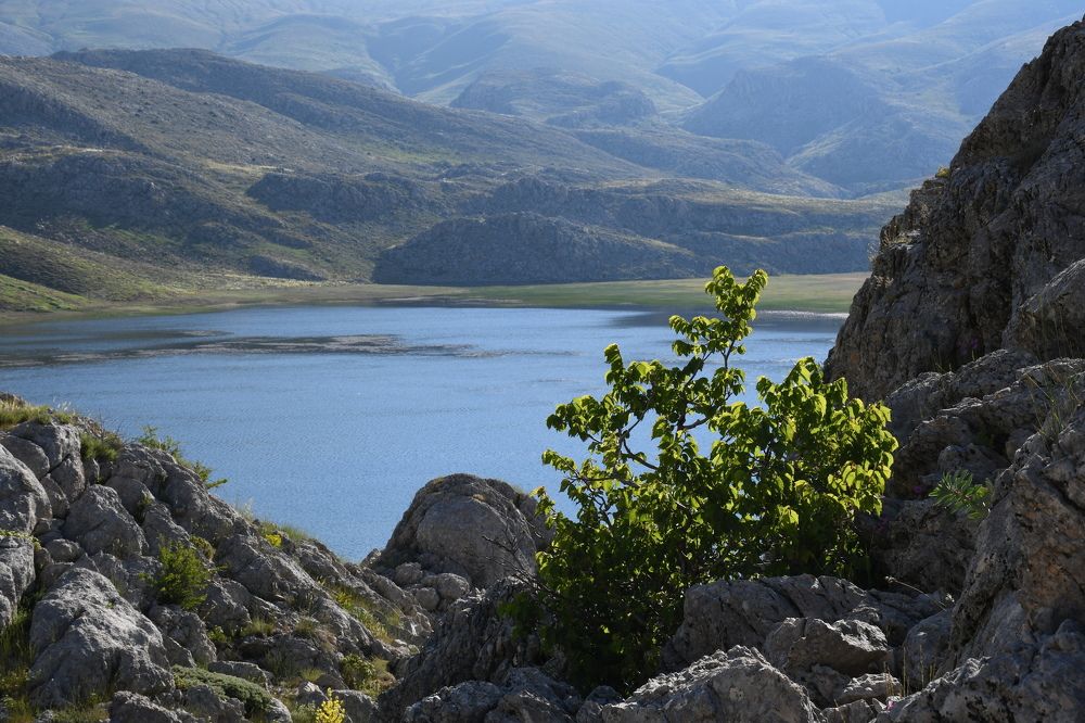 Photograph by Валентина Шахин