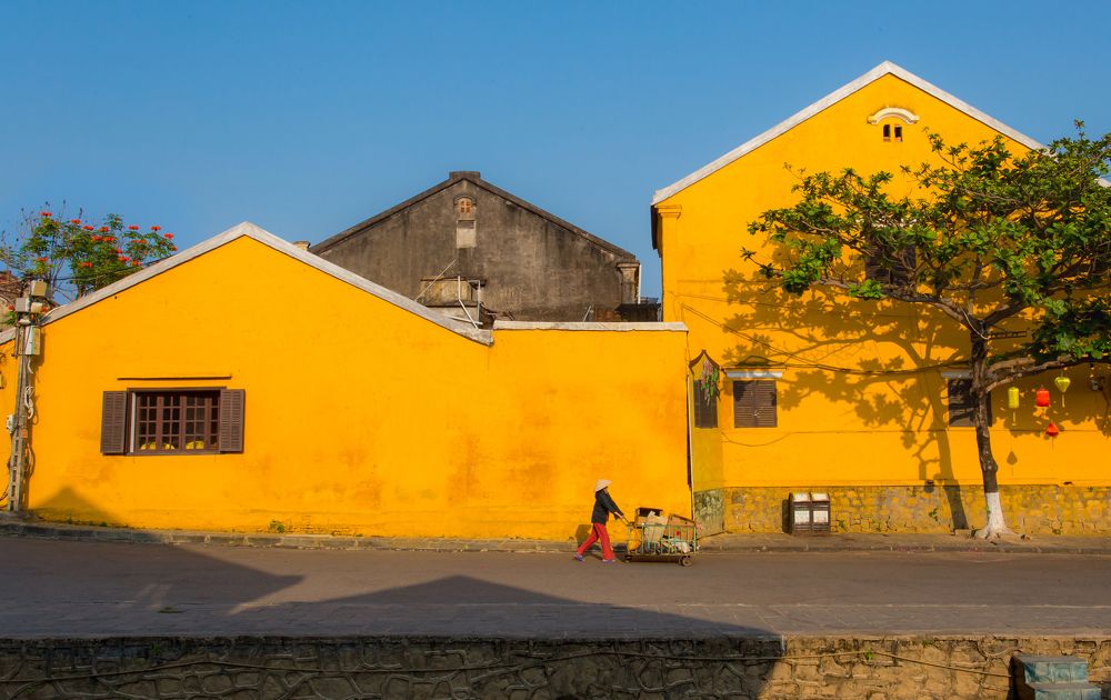 Фотография автора Võ Văn Tiến