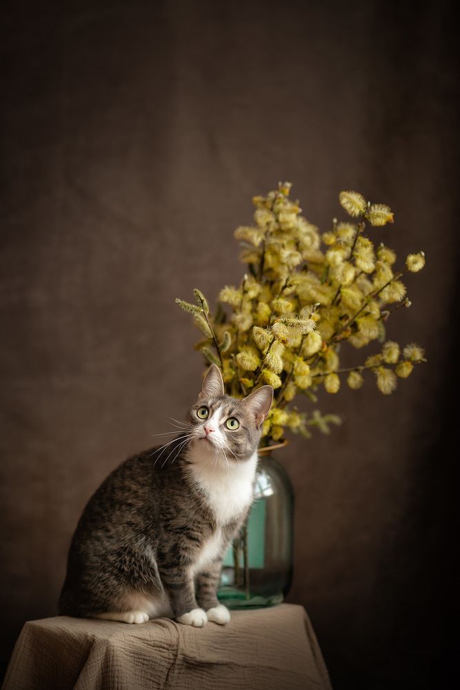 Photograph by Алексей и Юлия Дарьины