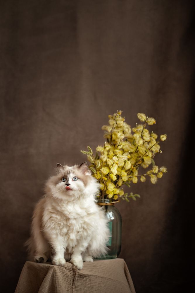 Photograph by Алексей и Юлия Дарьины