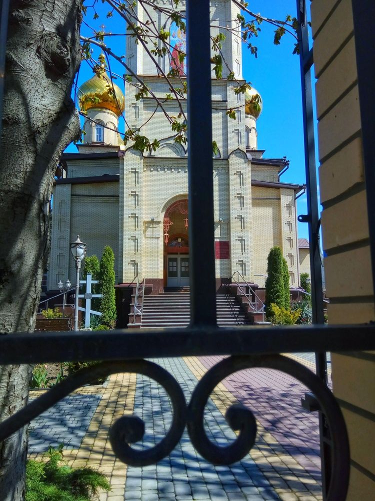 Photograph by Алла Холодова