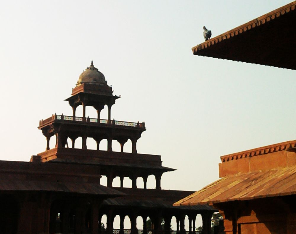 Photograph by Ritu Dinkar