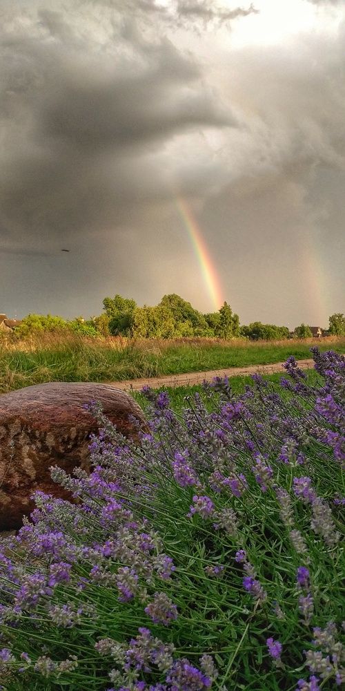 Photograph by Inna Kabanovich