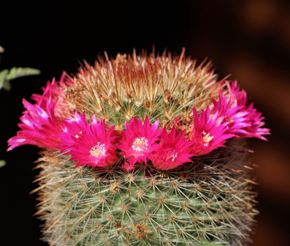 Photograph by Людмила Бутова