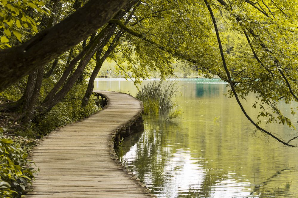 Фотография автора Andrej Levius