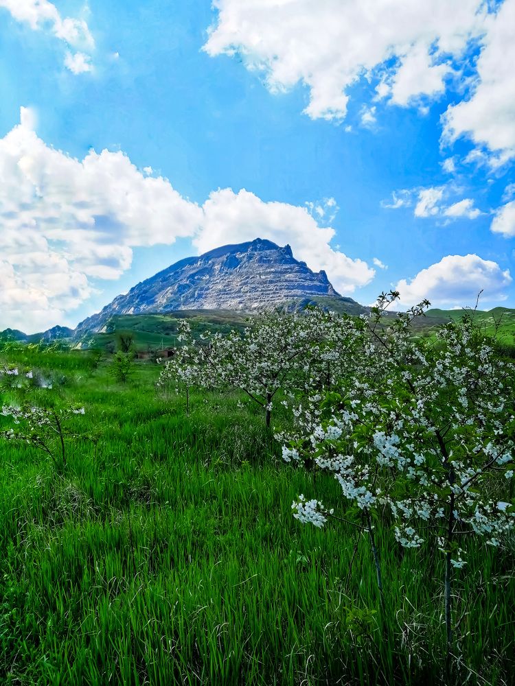 Photograph by Татьяна Чарушина