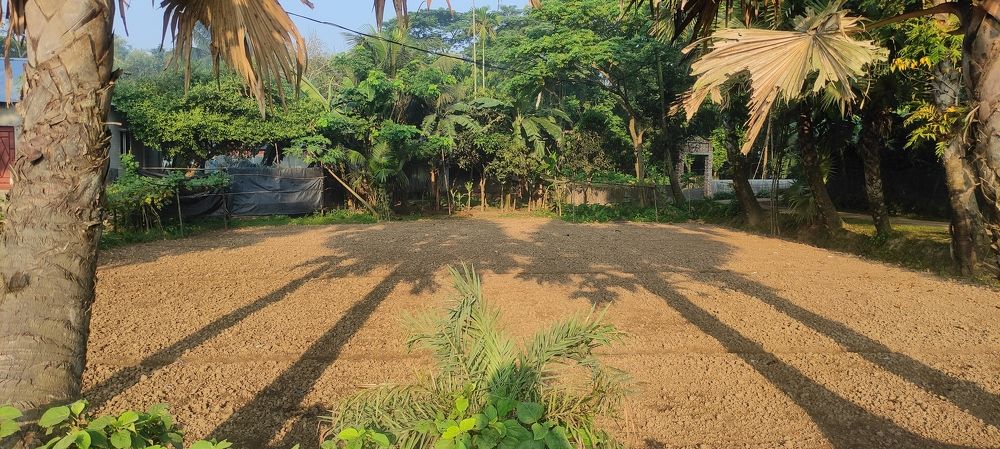 Shadow of Nature