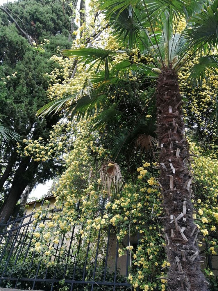 Photograph by Татьяна Чарушина