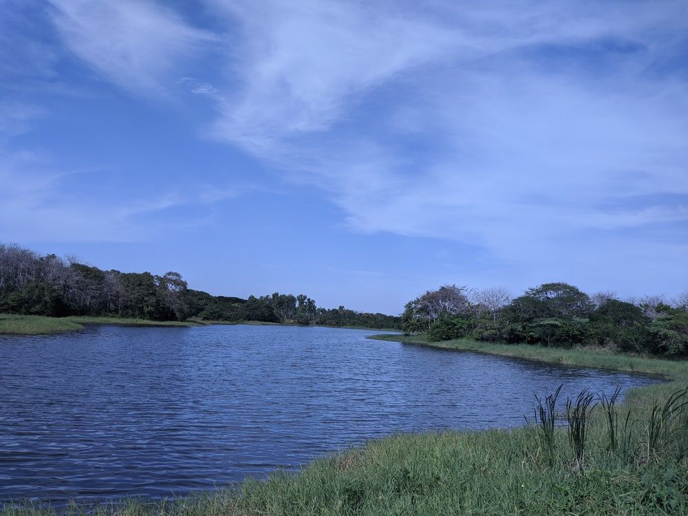 Photograph by Katty Maria Escalante Leguia