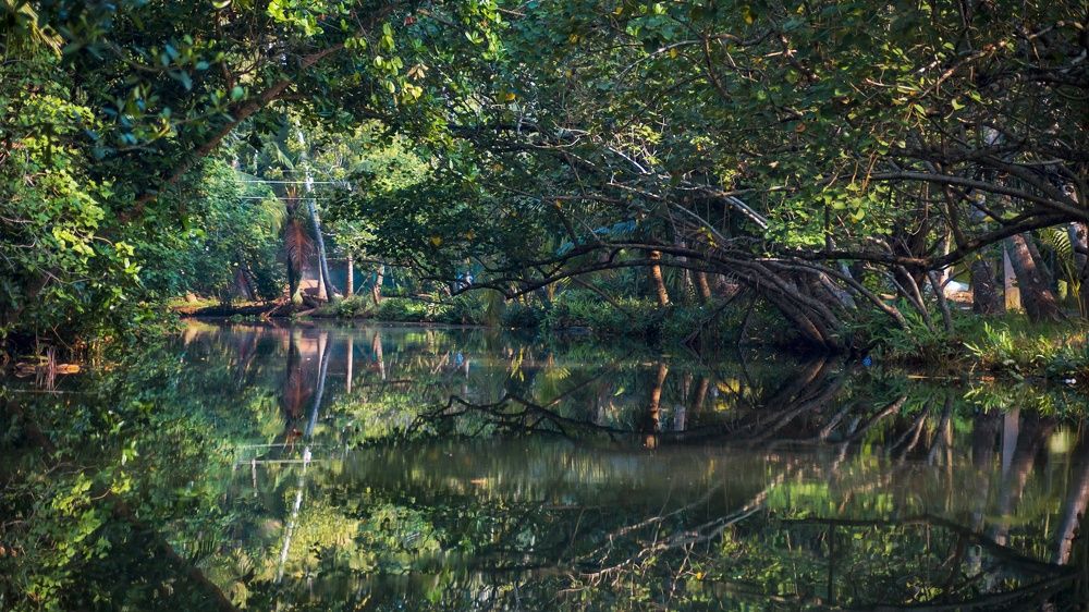 Photograph by  Mohamed Razal.R