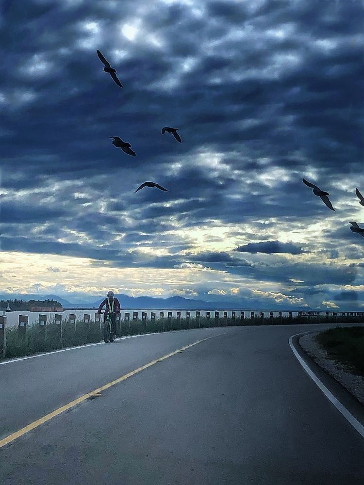 Photograph by maziar dashtbazi