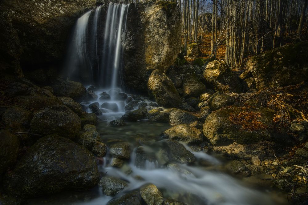 Photograph by Dino Sirica