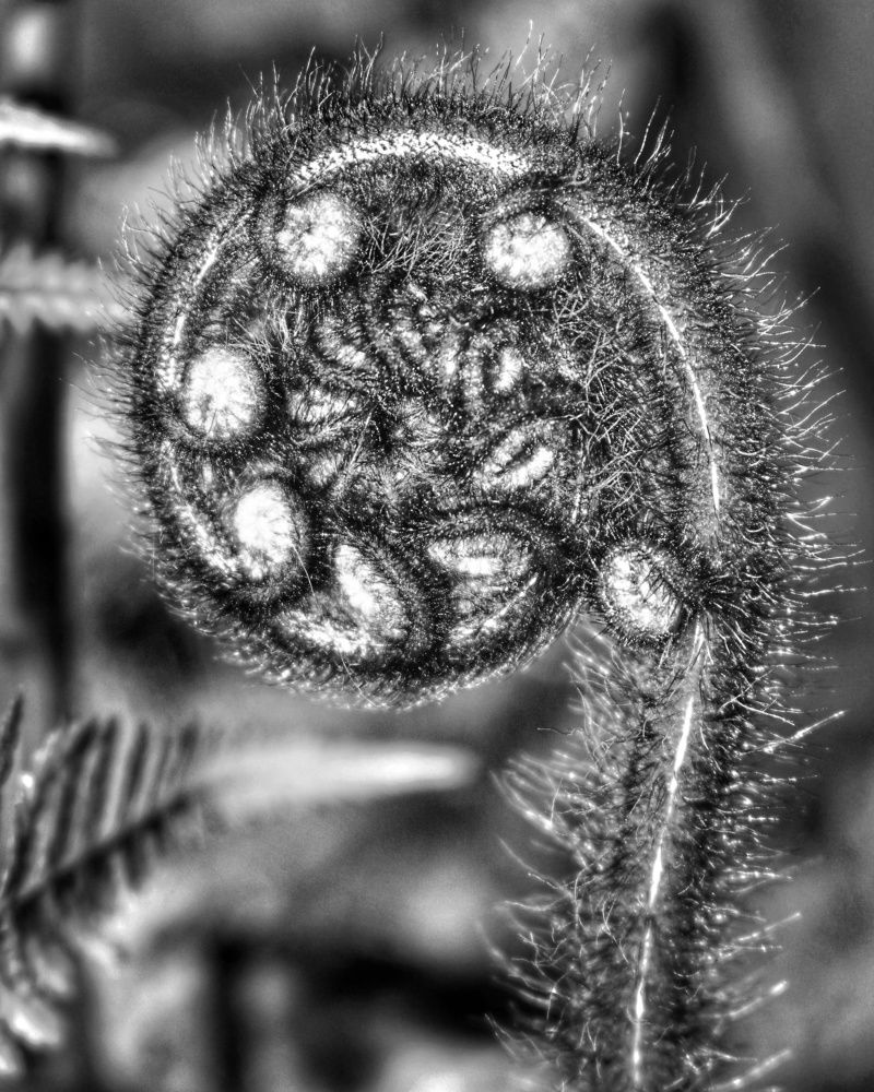 Photograph by Maja Kacprzyk