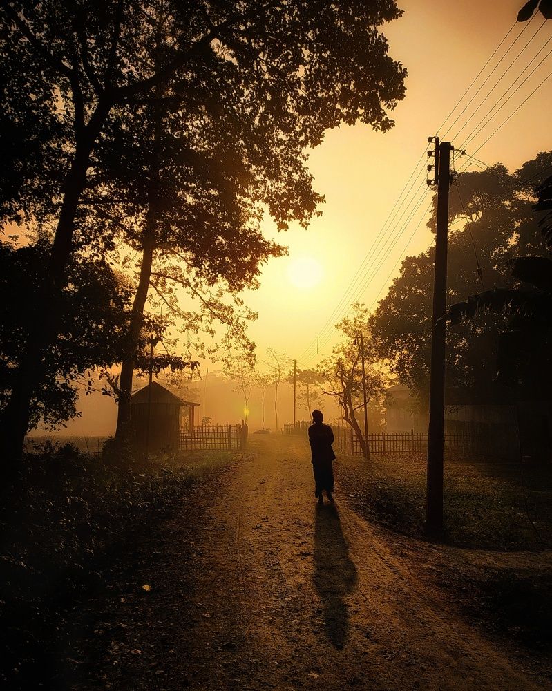 Фотография автора PRADIPTAMOY PAUL