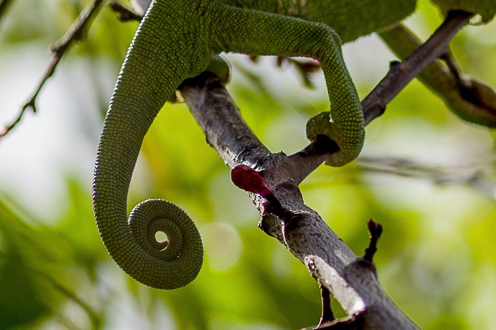 Photograph by Антон Шаркас