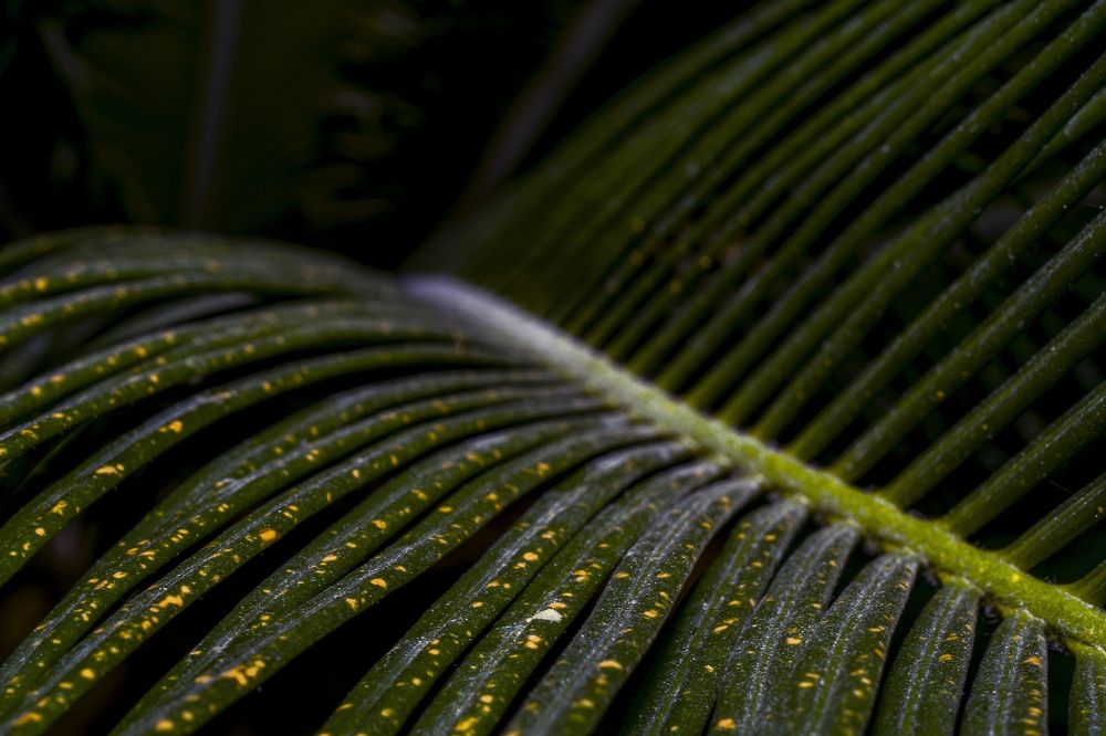 Photograph by Антон Шаркас