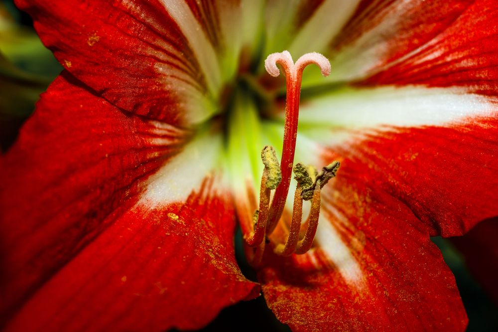 Photograph by Антон Шаркас