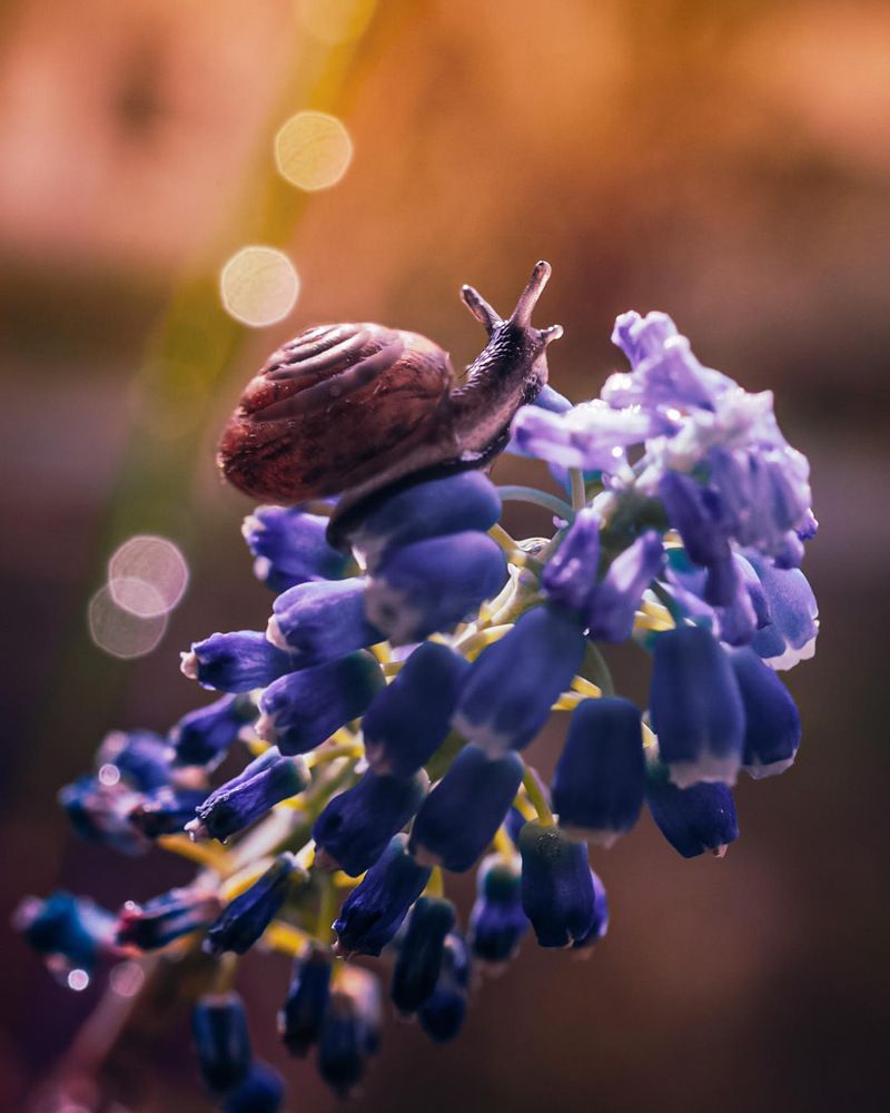 Photograph by Мария Исаева