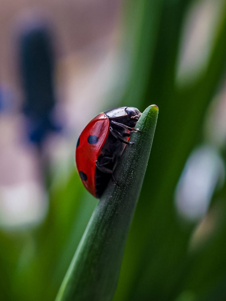 Весна пришла